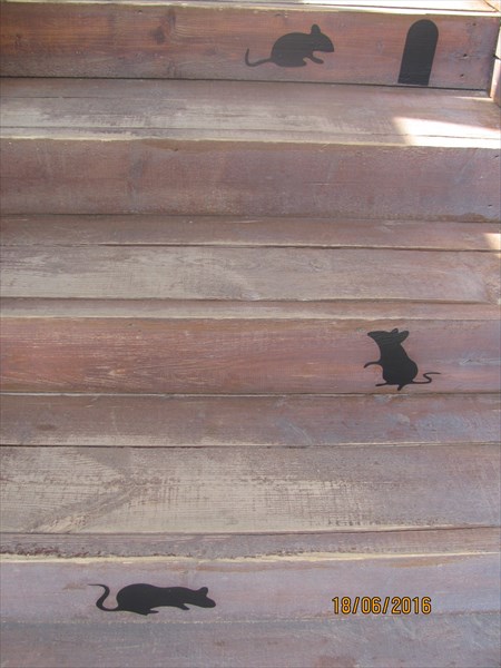 022-Мыши на лестнице